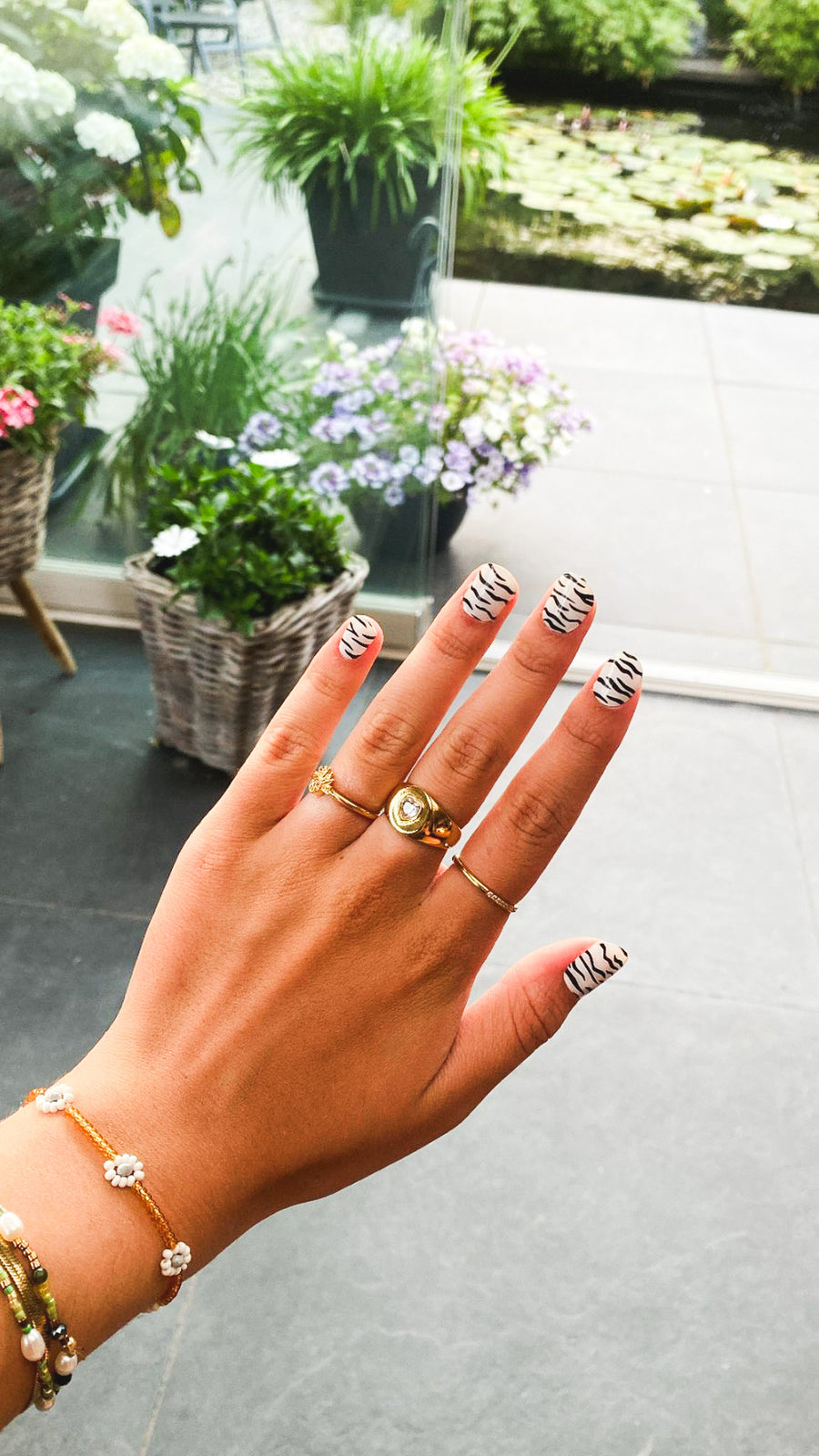 ZEBRA LOVE.